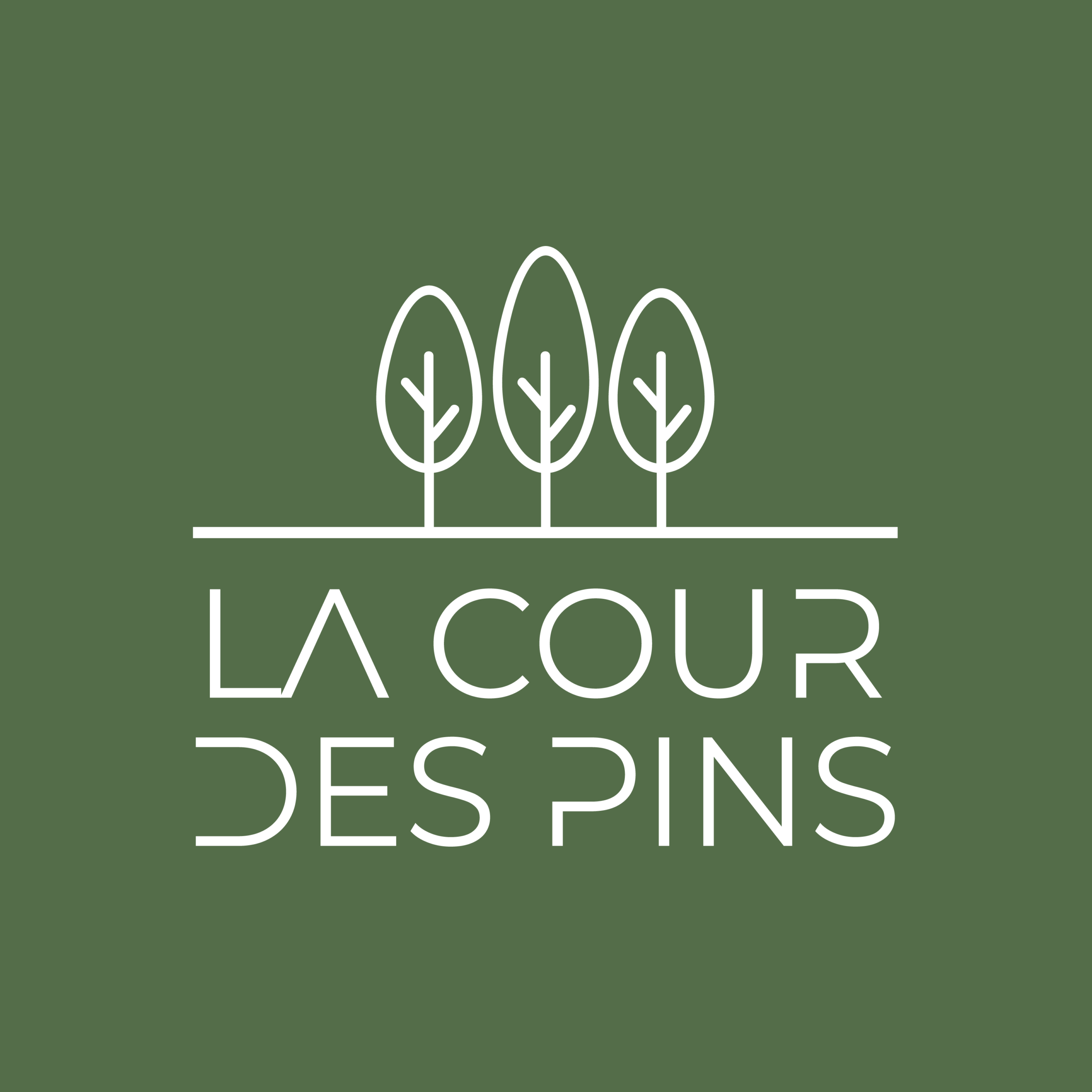 La cour des pins